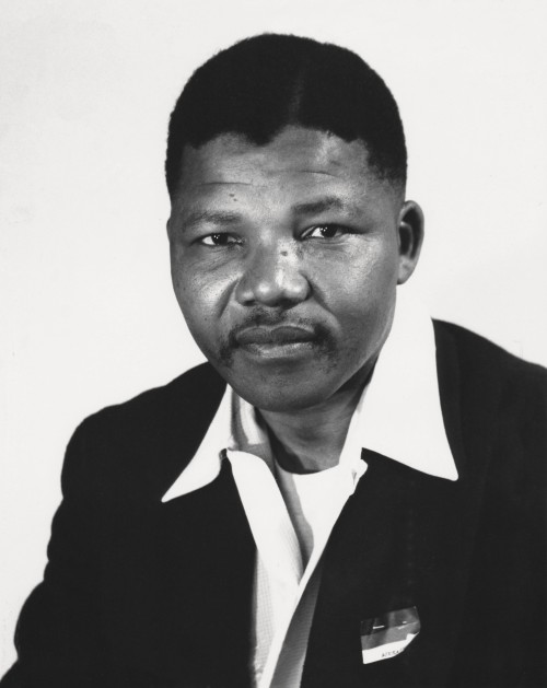 Nelson Mandela Classical Portrait