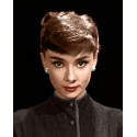 Audrey Hepburn "Roman Holiday"