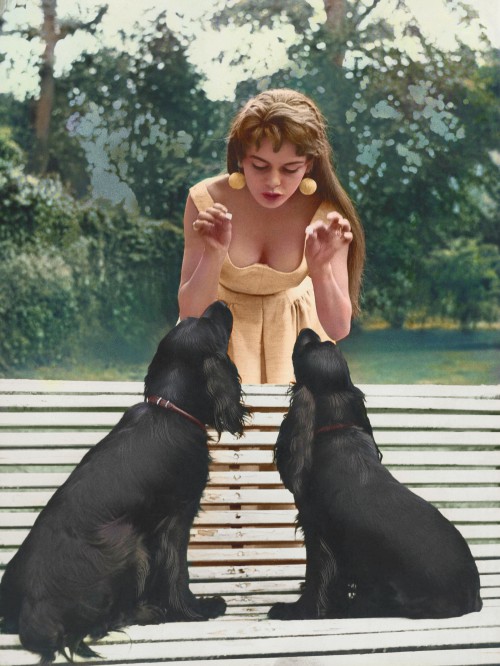 Brigitte Bardot and Her Dogs