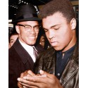 Malcolm X and Muhammad Ali